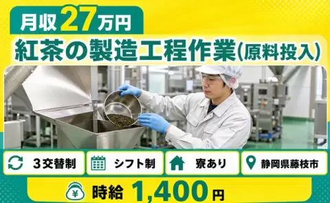 静岡県藤枝市｜紅茶の製造工程作業（原料投入）｜3交替制・未経験OK