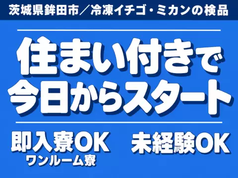 冷凍イチゴやミカンの検品作業！即面接・即採用・即入寮OK！＜茨城県×寮完備＞